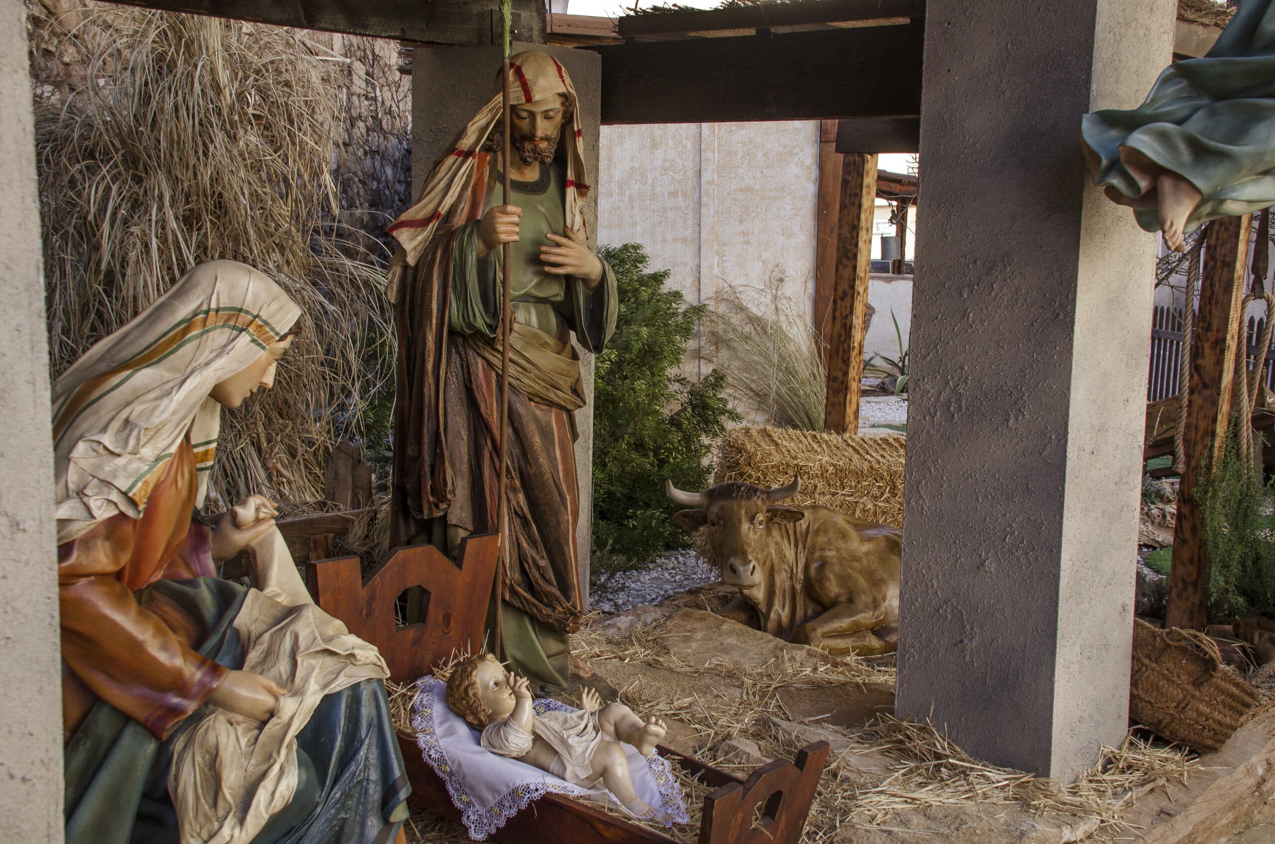 Frohe Weihnachten und ein gutes neues Jahr 2023 Schoenstatt